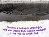 Pozdrav 